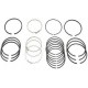 Piston ring set, 2.1, 0.020&rdquo; ~ 0.50mm OS